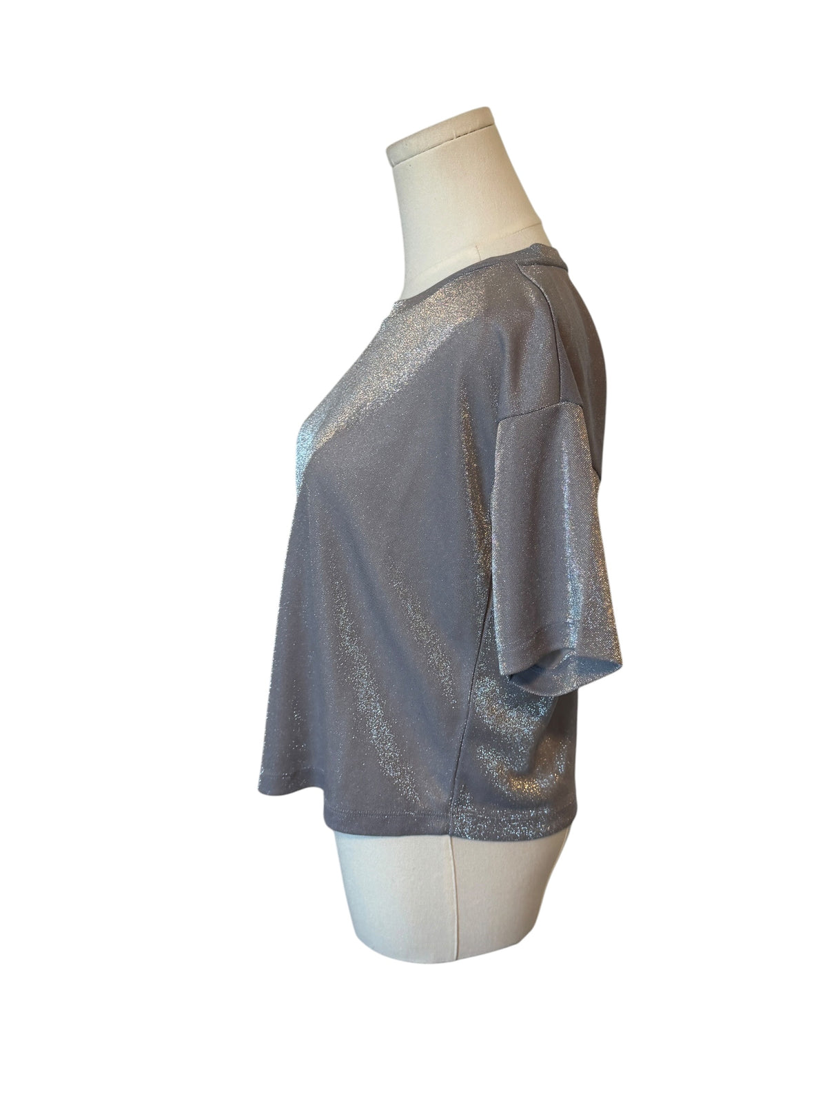 Anthropologie Short-Sleeve Shine Cropped Tee